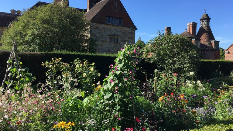Flower bed in full bloom with a yew hedge and house in the background